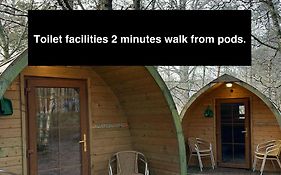 Pine Marten Bar Glenmore Glamping